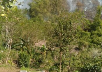 Kebakaran Landa Pegasing, Warga Resah Dan Minta Pelaku Segera Ditangkap