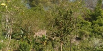 Kebakaran Landa Pegasing, Warga Resah Dan Minta Pelaku Segera Ditangkap