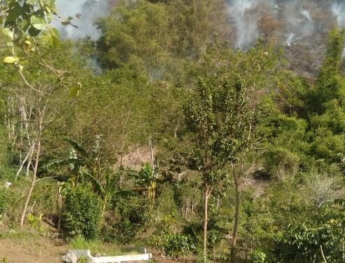 Kebakaran Landa Pegasing, Warga Resah Dan Minta Pelaku Segera Ditangkap