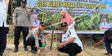 Polres Kuansing Kawal Penanaman Jagung Serentak di Tiga Kecamatan Dukung Swasembada Pangan Nasional 2025