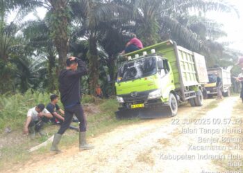 Oknum Agrinas Terbitkan KSO Abal-Abal, Zulfendi Cs Diduga Rampok Aset Negara