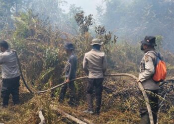 Hari Keenam Pendinginan Karhutla di Pelalawan, Tim Gabungan Tindak Lanjut Titik Api di Teluk Meranti