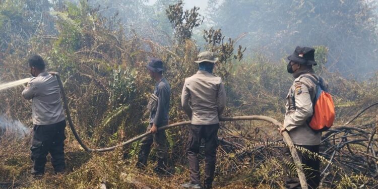 Hari Keenam Pendinginan Karhutla di Pelalawan, Tim Gabungan Tindak Lanjut Titik Api di Teluk Meranti