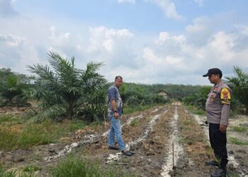 Polisi dan Kades Cek Lahan Ketahanan Pangan di Sorek Dua, Siap Tanam Jagung Pipil