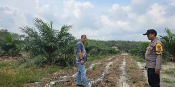 Polisi dan Kades Cek Lahan Ketahanan Pangan di Sorek Dua, Siap Tanam Jagung Pipil