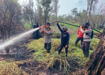 Tim Gabungan Padamkan Karhutla di Pangkalan Kuras, Pelalawan