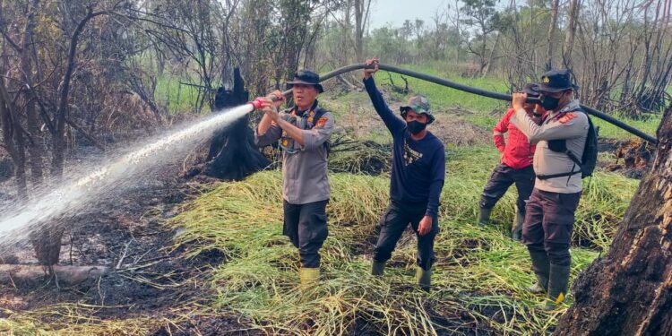 Tim Gabungan Padamkan Karhutla di Pangkalan Kuras, Pelalawan