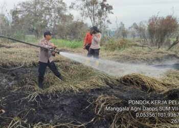Tim Gabungan Masih Lakukan Pendinginan di Lokasi Karhutla Desa Kesuma, Pelalawan