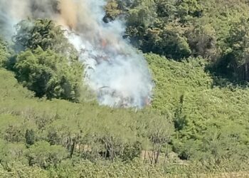 Kebakaran Lahan Di Pegasing, Warga Desak Pelaku Segera Ditangkap