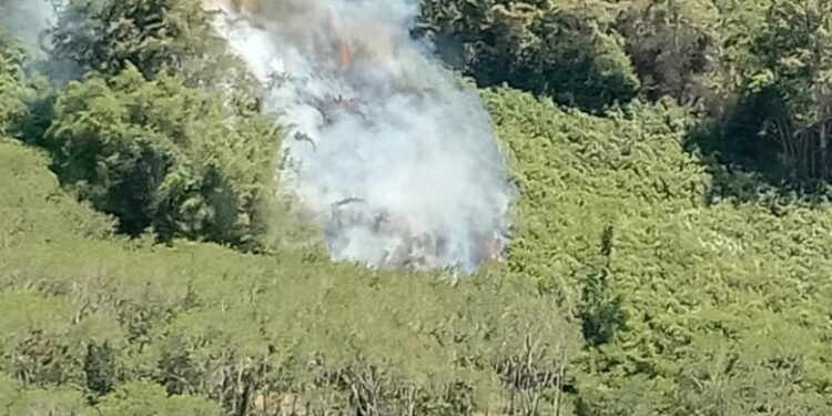 Kebakaran Lahan Di Pegasing, Warga Desak Pelaku Segera Ditangkap