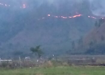 Lagi-Lagi Kebakaran Lahan Terjadi Di Toweren, Api Menjalar Ke Kebun Warga