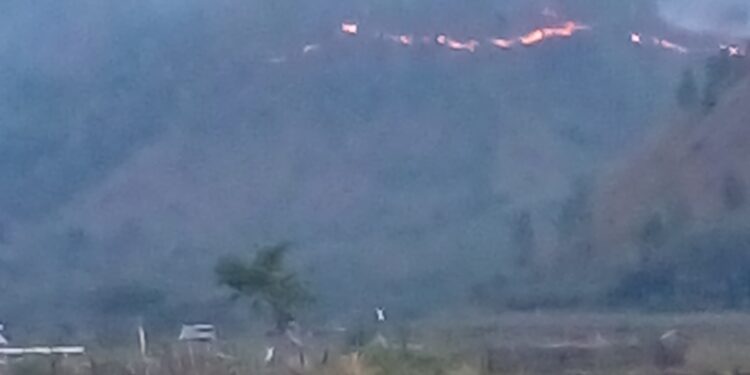 Lagi-Lagi Kebakaran Lahan Terjadi Di Toweren, Api Menjalar Ke Kebun Warga