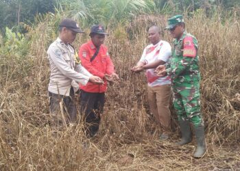 Polri, TNI, Manggala Agni, dan MPA Patroli Karhutla di Teluk Meranti