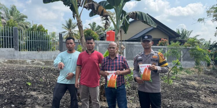 Dukung Ketahanan Pangan, Warga Desa Palas Tanam Jagung Pipil di Lahan 2 Hektare