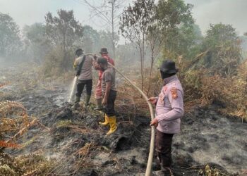 Hari ke-5 Pendinginan Karhutla di Teluk Meranti, Api Padam tapi Masih Ada Asap