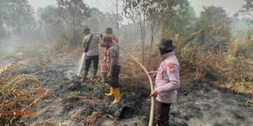 Hari ke-5 Pendinginan Karhutla di Teluk Meranti, Api Padam tapi Masih Ada Asap