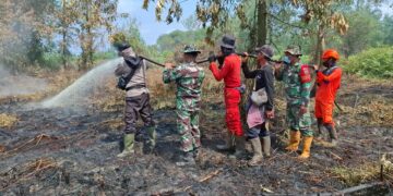 Karhutla di Pelalawan Berangsur Padam, Pendinginan Hari Ke-6 Terus Dilakukan