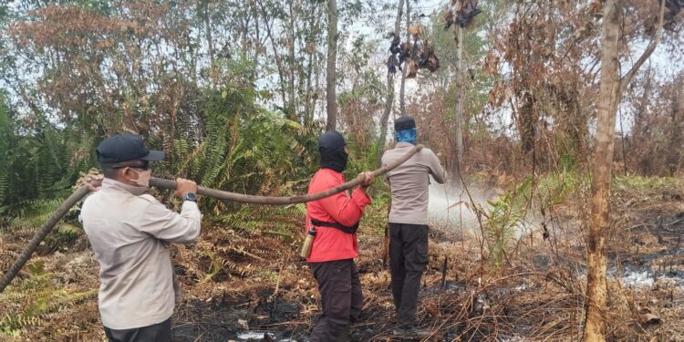 Kebakaran Hutan di Teluk Meranti Pelalawan: Tim Gabungan Masih Lakukan Pendinginan Hari Ke-7