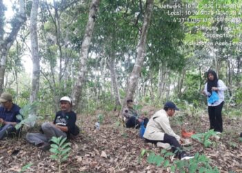 Balai Pengelolaan Hutan Lestari Bersama PD Pembangunan Tanoh Gayo(BUMD) turun Ke Lapangan Data Lahan Tupang Sari.