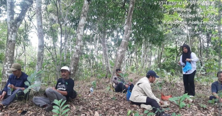 Balai Pengelolaan Hutan Lestari Bersama PD Pembangunan Tanoh Gayo(BUMD) turun Ke Lapangan Data Lahan Tupang Sari.
