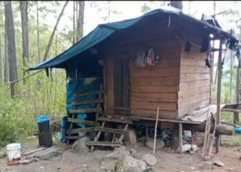 PD.Pembangunan Tanoh Gayo(BUMD) Berbenah Mendata Lahan Pinus di Konsesi,Kampung Simpang Tiga Uning dan Kemerleng,