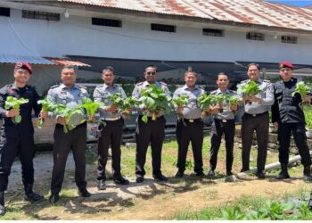 Panen Raya Hasil Dari Program Ketahanan Pangan WBP Rutan Takengon