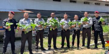 Panen Raya Hasil Dari Program Ketahanan Pangan WBP Rutan Takengon