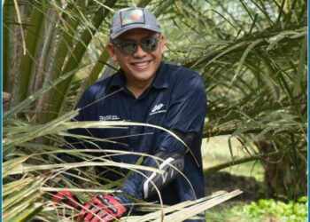 Komitmen Dukung Asta Cita, Holding Perkebunan Nusantara Dorong Anak Usaha Intensifikasi Produktivitas Melalui Peremajaan