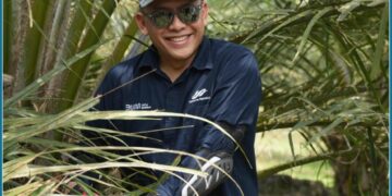 Komitmen Dukung Asta Cita, Holding Perkebunan Nusantara Dorong Anak Usaha Intensifikasi Produktivitas Melalui Peremajaan