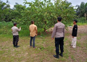 Polsek Pangkalan Lesung Gelar Patroli dan Sosialisasi Larangan Membakar Lahan