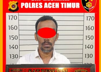 Cabuli Anak Tiri, Polres Aceh Timur Ringkus Pelaku