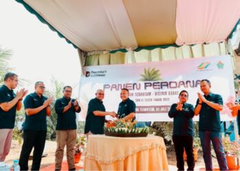 Komitmen Dukung Asta Cita, Holding Perkebunan Nusantara Pacu Produktivitas Sawit Hingga 7 Ton per Hektare