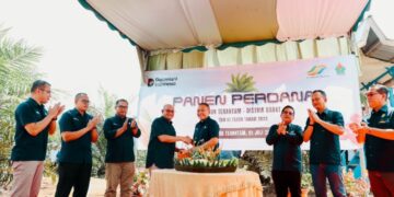 Komitmen Dukung Asta Cita, Holding Perkebunan Nusantara Pacu Produktivitas Sawit Hingga 7 Ton per Hektare
