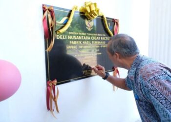 Holding Perkebunan Perkuat Hilirisasi, PTPN I Luncurkan Pabrik Cerutu Tembakau Deli