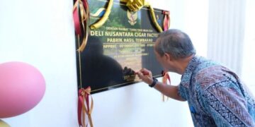 Holding Perkebunan Perkuat Hilirisasi, PTPN I Luncurkan Pabrik Cerutu Tembakau Deli