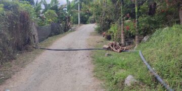 Pekerjaan Pipa Air Bersih Di Kampung Pepayungan Angkup Diduga Semrawut Dan Tidak Becus