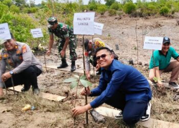 Pentingnya Ekosistem Pesisir, Wali Kota Langsa Tanam Mangrove di Gampong Sungai Lueng 