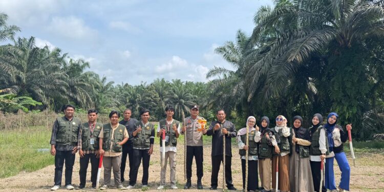 Polsek Pangkalan Kuras Dampingi Penanaman Jagung di Desa Meranti, Dukung Ketahanan Pangan