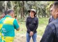 Ngaku Masih Punya Lahan, Eks Bos PT Ayau Diduga Gertak Petani Dan Tantang Negara, Jaksa Agung Diminta Usut TPPU 1 Triliun