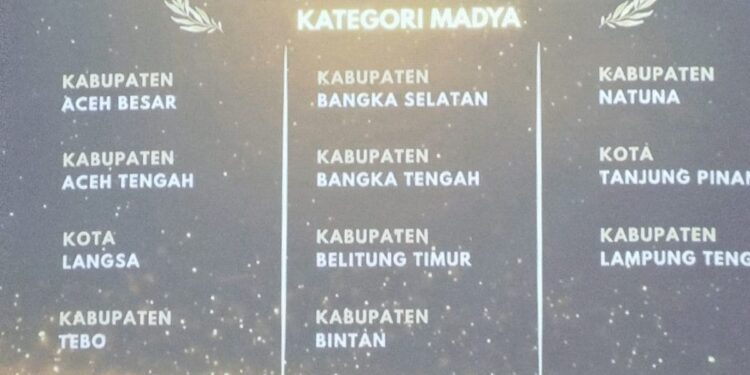 Kementerian P3A RI Beri Penghargaan KLA pada Kota Langsa