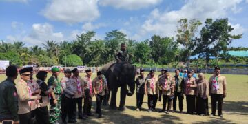 Semangat Hari Pramuka ke-64 di Ukui: Harmoni, Gajah Taman Nasional, Sambut Para Pejuang Tunas Muda