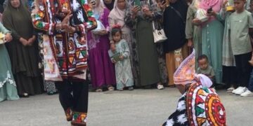 Presma UGP Asraf Menghadiri Kegiatan Workshop Peran Tari Guel Dalam Menyikapi Konflik Gajah