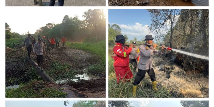 Titik Api Tak Terdeteksi DLK Ditemukan di Hutan Tidur Desa Kesuma, Polisi Lakukan Pendinginan