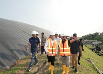 Pemerintah Minta Gapki Dorong Perusahaan Sawit Tiru PTPN Group Perkuat Dekarbonisasi