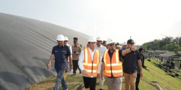 Pemerintah Minta Gapki Dorong Perusahaan Sawit Tiru PTPN Group Perkuat Dekarbonisasi