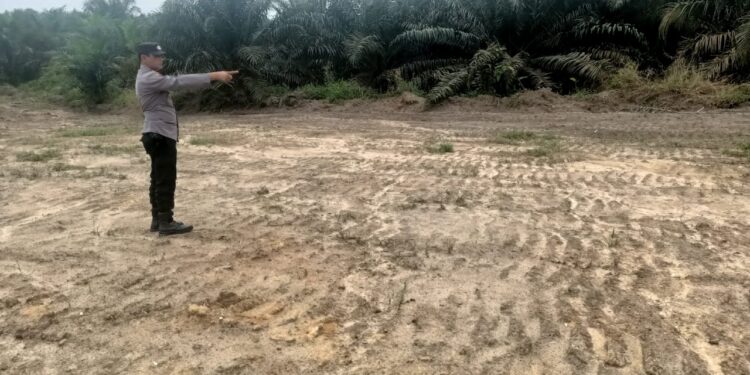 Polisi Tinjau Progres Ketahanan Pangan Program Penanaman Jagung di Pelalawan