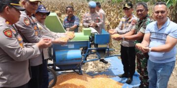 Panen Jagung Kuartal III, Kapolres Aceh Tengah Dan Forkopimda Kompak Dukung Swasembada Pangan Nasional