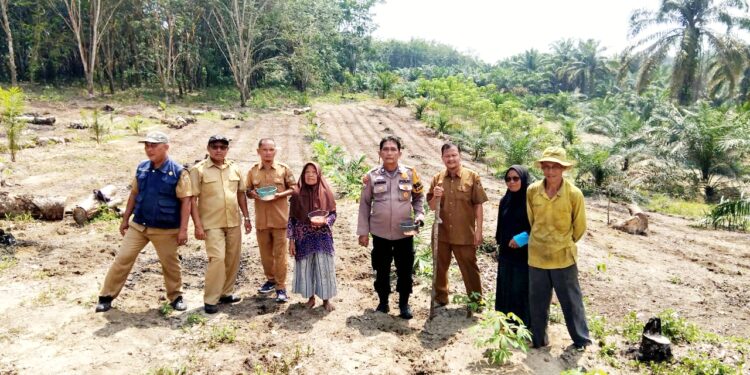 Bhabinkamtibmas Polsek KKH Dampingi Petani Tanam Jagung Pipil