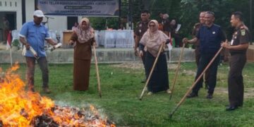 Kejari Langsa Musnahkan BB 10 Karton Rokok Ilegal dan 90 Liter Tuak