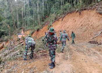 Proses Pengerjaan Terus Dilakukan, TMMD Ke 126 Membersihkan Batang Pohon Dari Badan Jalan
